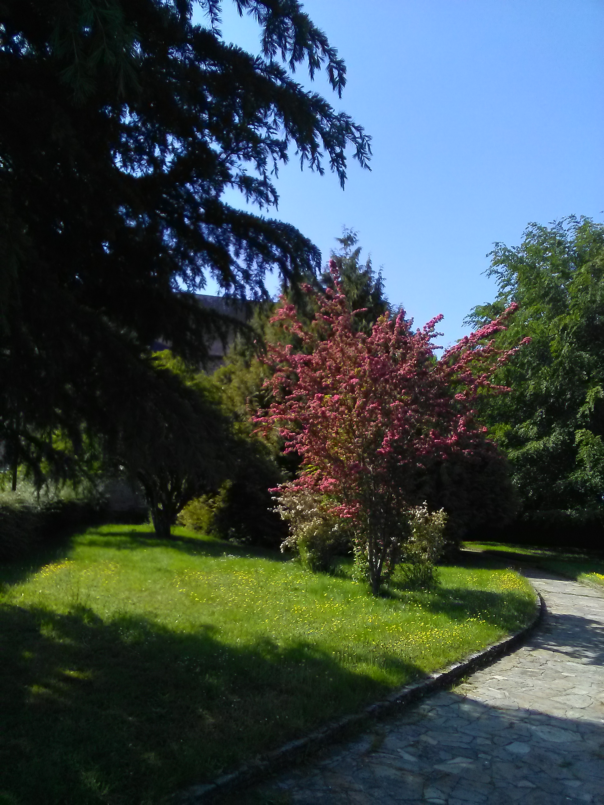 Photo n° 1 de l'avis de rené.e fait le 07/10/2023 à 13:59