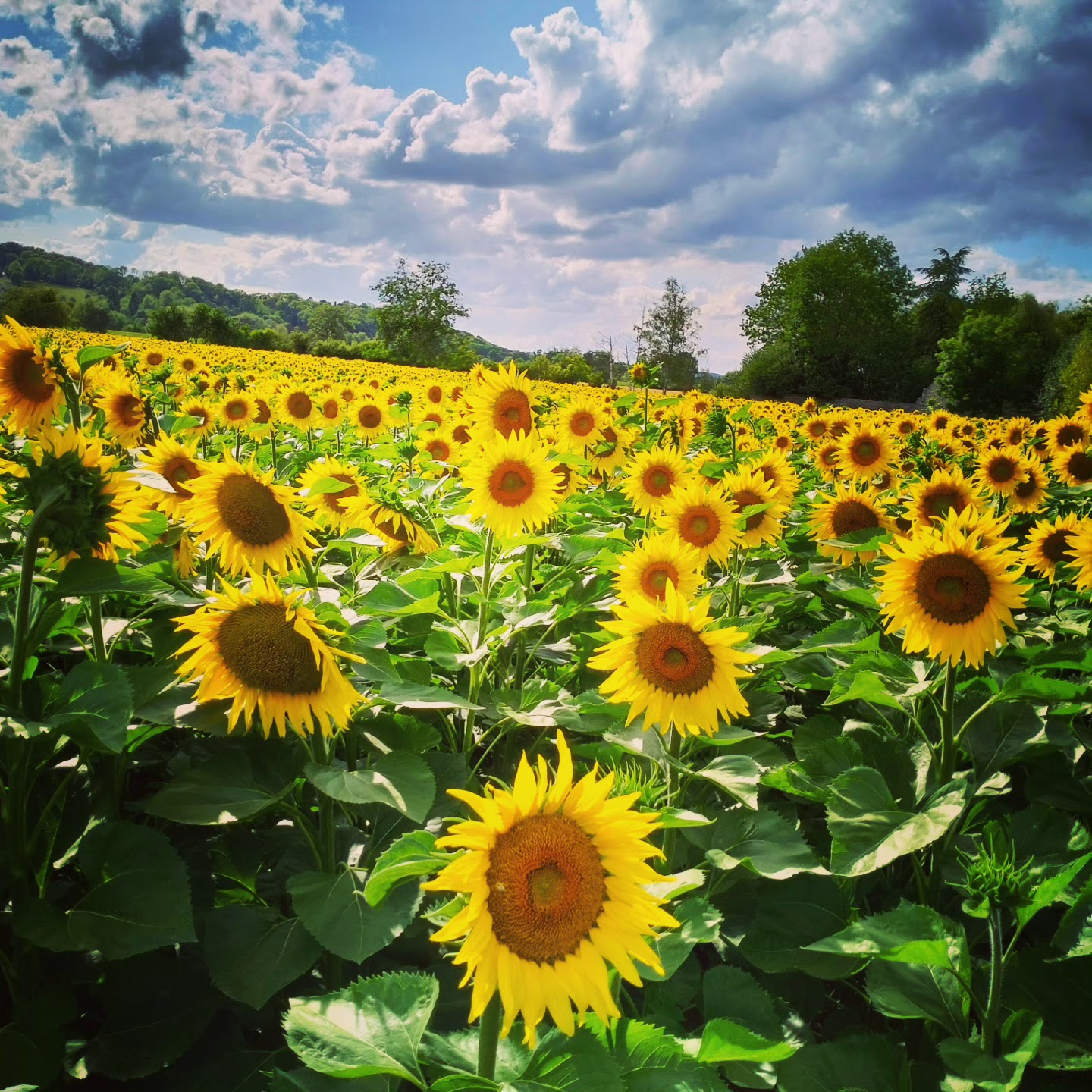 Photo n° 2 de l'avis de Sabrina.a fait le 13/07/2023 à 19:02
