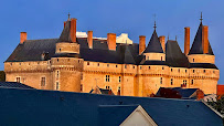 Château de Langeais du Restaurant La Fringale à Langeais - n°2