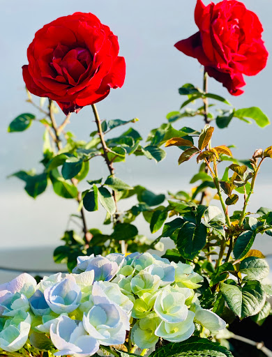 Home Improvement Store «The Home Depot», reviews and photos, 600 S Harbor Blvd, La Habra, CA 90631, USA