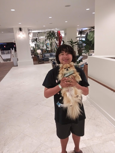 Pet Supply Store «Petco Animal Supplies», reviews and photos, 2434 W Brandon Blvd, Brandon, FL 33511, USA