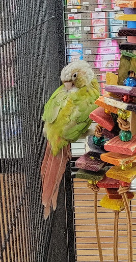 Pet Supply Store «Pet Supermarket», reviews and photos, 534 S Hunt Club Blvd, Apopka, FL 32703, USA