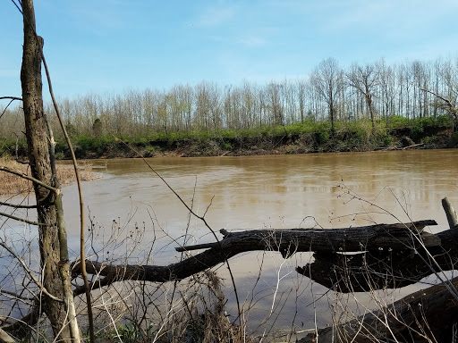 Nature Preserve «Shaw Nature Reserve», reviews and photos, 307 Pinetum Loop Rd, Gray Summit, MO 63039, USA