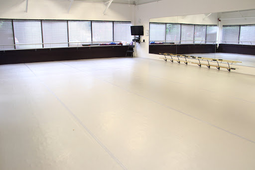 Dance School «Greater Washington Dance Center», reviews and photos, 12320 Pinecrest Rd #100, Reston, VA 20191, USA