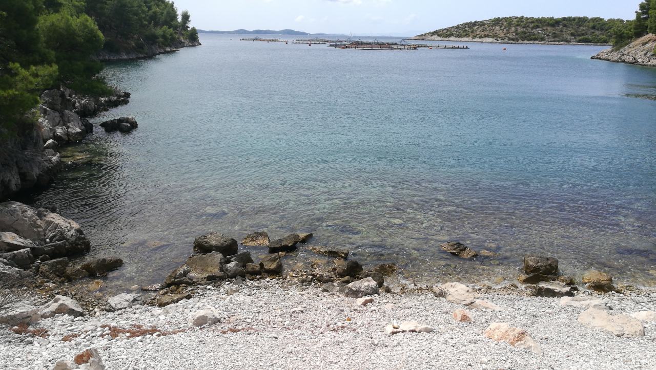 Foto di Milna beach con una superficie del acqua cristallina