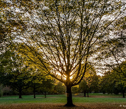 Spielplatz Marienhof photo