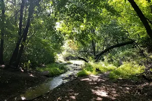 Parker's Picnic & Trail Area image