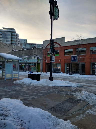 Clothing Store «Gap», reviews and photos, 341 State St, Madison, WI 53703, USA