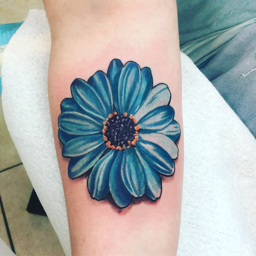 Tattoo Shop «Dreamland Tattoo», reviews and photos, 1887 S Main St, Harrisonburg, VA 22801, USA