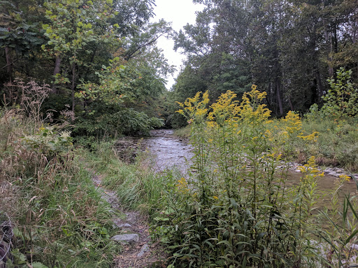 Nature Preserve «Sweedler and Thayer Preserves», reviews and photos, 10 Townline Rd, Ithaca, NY 14850, USA