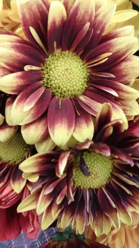 Supermarket «Giant Eagle Supermarket», reviews and photos, 14100 Detroit Ave, Lakewood, OH 44107, USA