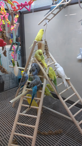 Pet Supply Store «Petco Animal Supplies», reviews and photos, 2210 N Eagle Rd, Meridian, ID 83646, USA