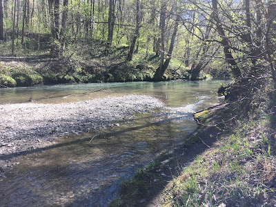 Delpharm Gaillard à Gaillard