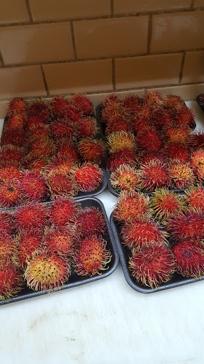 Grocery Store «C-Town Supermarkets», reviews and photos, 1105 Horseblock Road, Farmingville, NY 11738, USA