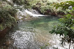 EL ARROYAZO (reserva de ebano verde) image