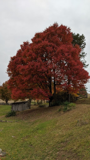 National Park «Cumberland Gap National Historical Park», reviews and photos, 91 Bartlett Park Road, Middlesboro, KY 40965, USA