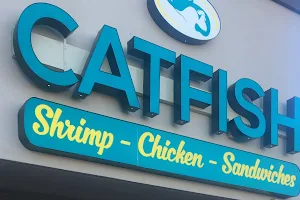 Catfish - Chicken, Sandwich, Gyros & More image
