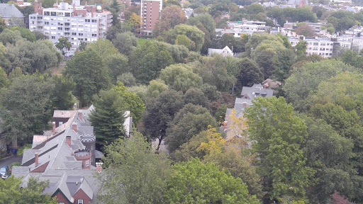Park «Griggs Park», reviews and photos, 33 Griggs Rd, Brookline, MA 02446, USA
