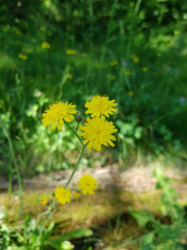 Park «Dorchester Park», reviews and photos, 2180 Dorchester Ave, Dorchester, MA 02124, USA