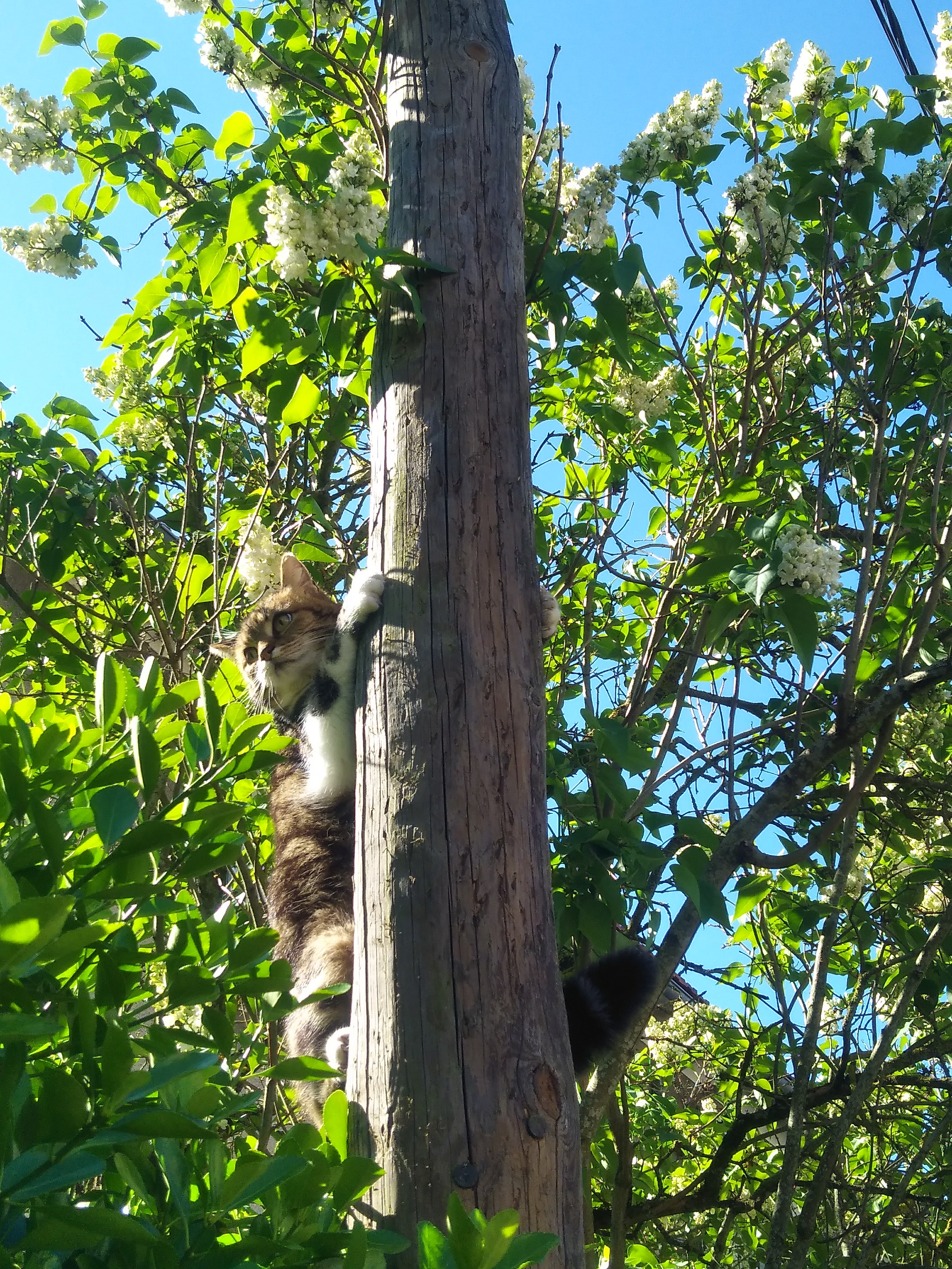 Photo n° 1 de l'avis de Poupard.n fait le 10/04/2019 à 20:16