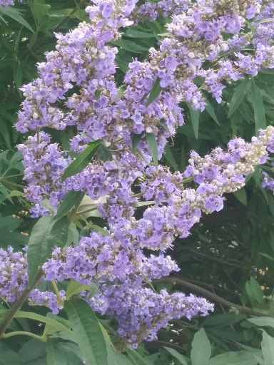 Pet Supply Store «Mud Bay», reviews and photos, 8909 Martin Way E, Lacey, WA 98516, USA