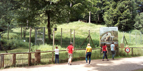 attractions Wolf Park Werner Freund Merzig