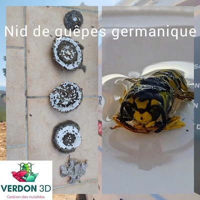 VERDON 3D à Régusse