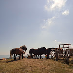 Photo n°4 de l'avis de Letizia.a fait le 22/08/2023 à 15:55 sur le  Da Giocondo à Pratomagno