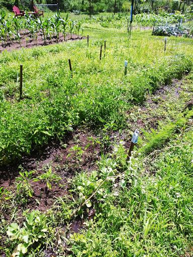 Park «Vietnam Veterans Park», reviews and photos, Treble Cove Rd, Billerica, MA 01821, USA