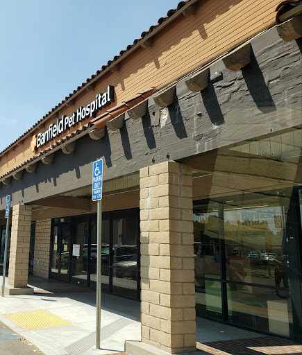 Banfield Pet Hospital image