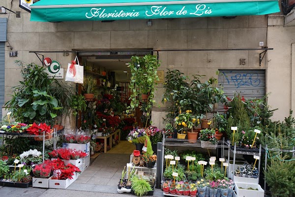 Flor de Lis