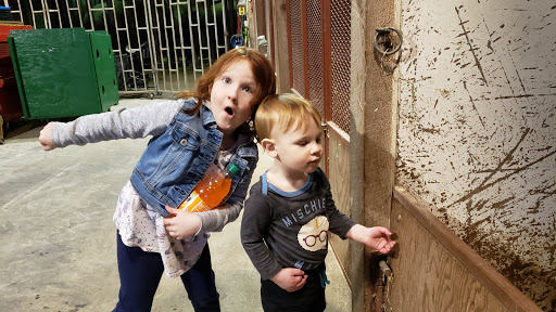 Zoo «R W Commerford & Sons», reviews and photos, 48 Torrington Rd, Goshen, CT 06756, USA