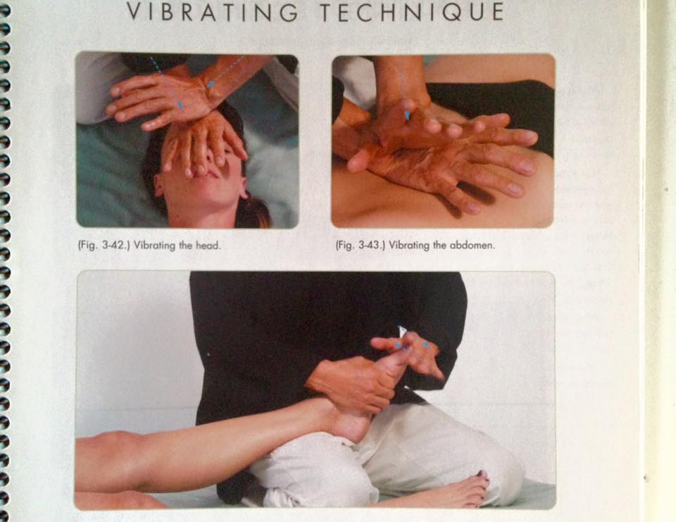 Five Point Shiatsu 44240