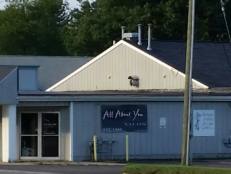 All About You Salon 49337