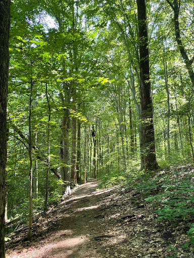 Park «Fairfax Villa Park», reviews and photos, 11399 Park Dr, Fairfax, VA 22030, USA