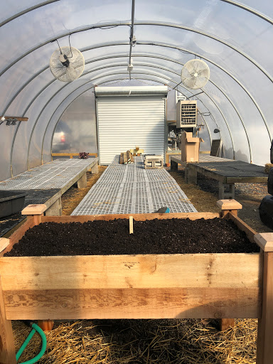 Plant Nursery «Potomac Petals and Plants», reviews and photos, 9545 River Rd, Rockville, MD 20854, USA