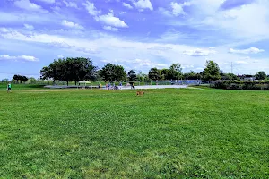 Swift Run Dog Park image