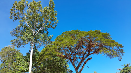 Top 20 cửa hàng ikonic Huyện Thoại Sơn An Giang 2022