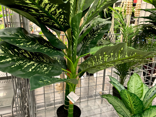 Craft Store «Michaels», reviews and photos, 15911 Manchester Rd, Ellisville, MO 63011, USA