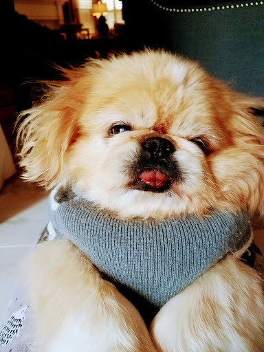 Gym «The Gym Mckinney», reviews and photos, 3180 Eldorado Pkwy #300, McKinney, TX 75070, USA