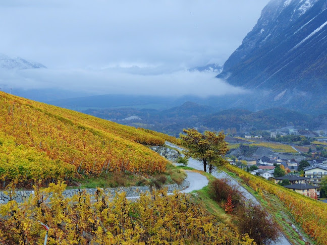 museeduvin-valais.ch