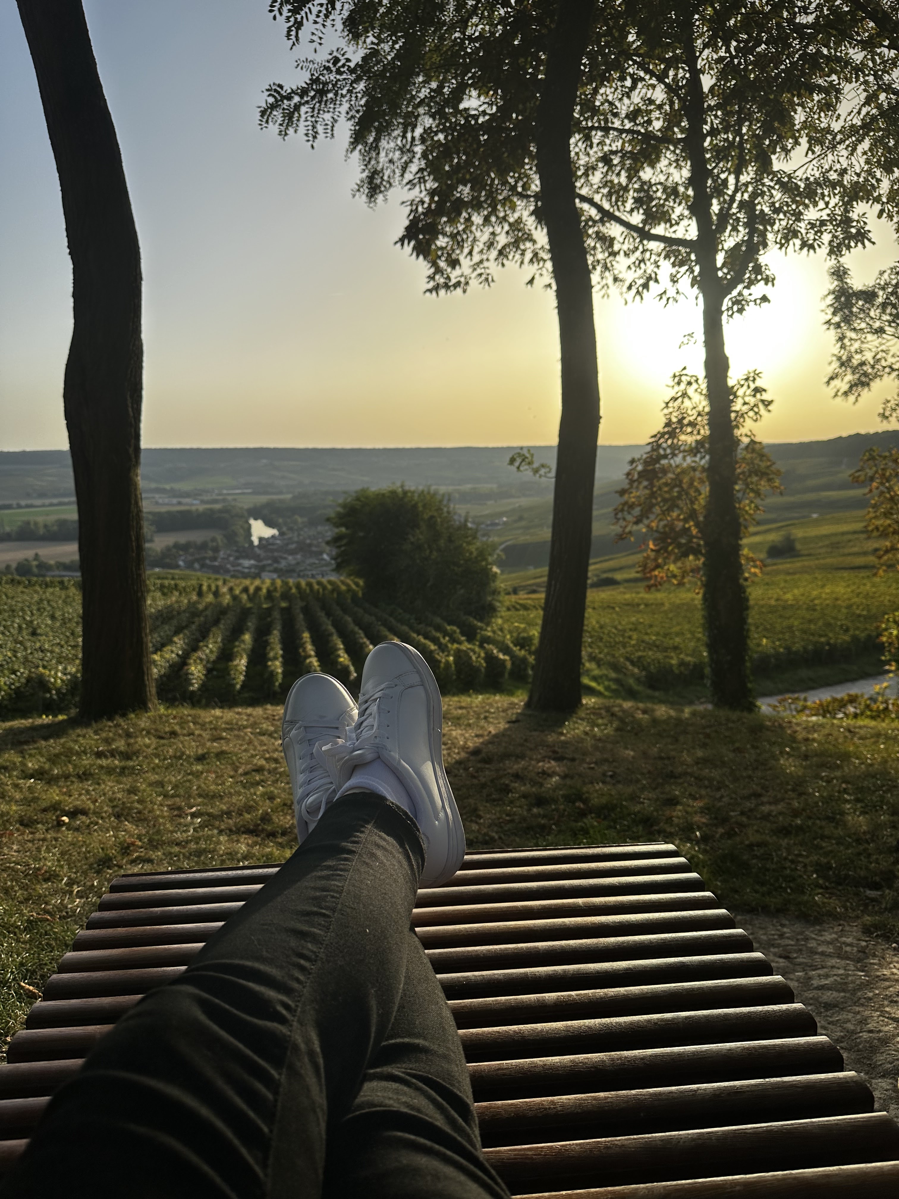 Photo n° 1 de l'avis de Frances. fait le 15/10/2023 à 12:20