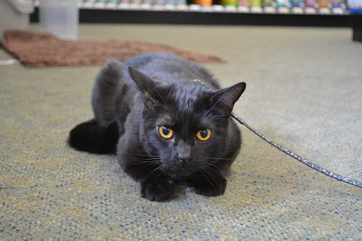 Pet Supply Store «The Natural Pet Enrichment Center», reviews and photos, 6720 Royalton Rd, North Royalton, OH 44133, USA