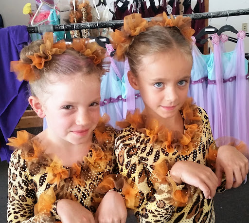 Dance School «Dance and Circus Arts of Tampa Bay», reviews and photos, 1490 N Belcher Rd, Clearwater, FL 33765, USA