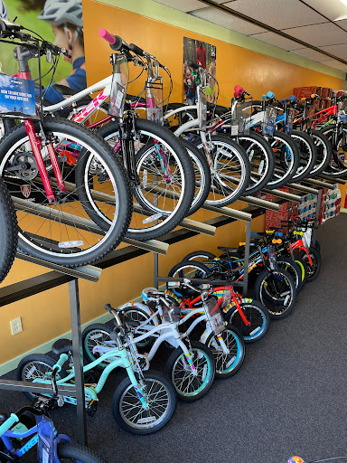 Bicycle Store «Rochester Bike Shop», reviews and photos, 426 S Main St, Rochester, MI 48307, USA