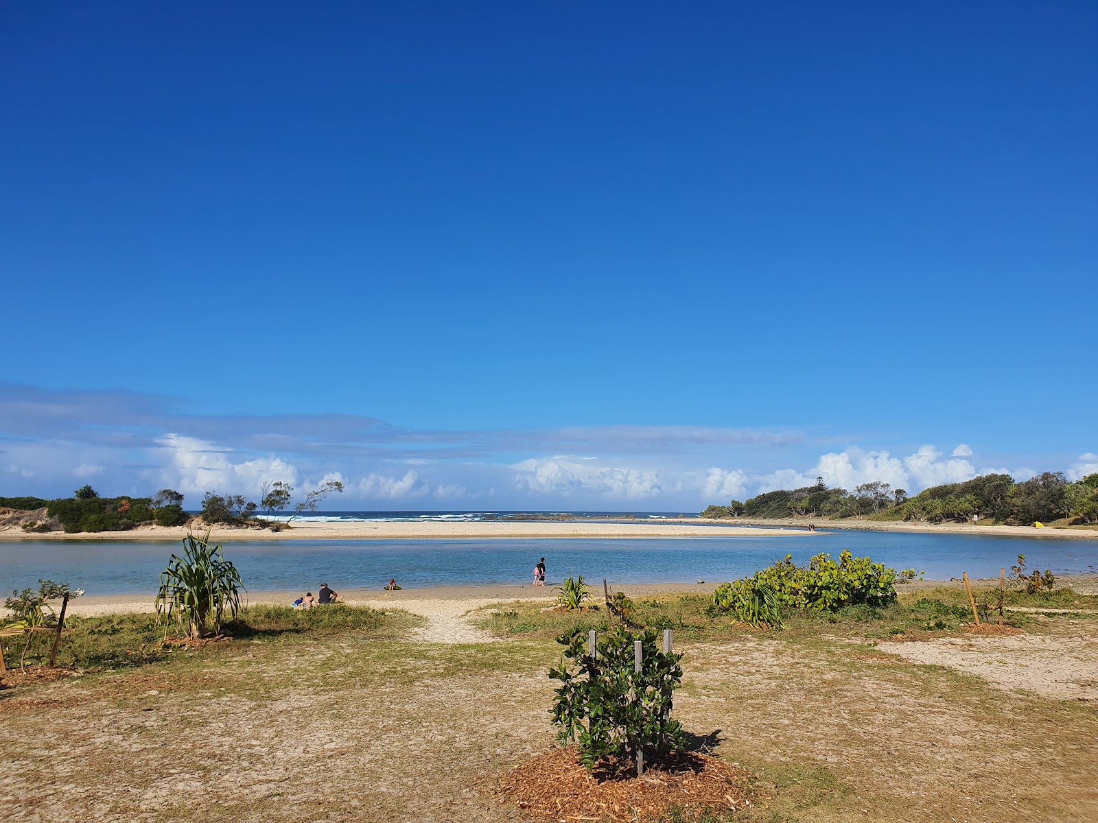Foto de Maggies Beach com muito limpo nível de limpeza