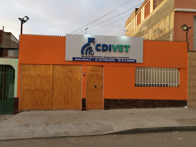 CDIVET (centro de diagnóstico imagenológico veterinario)