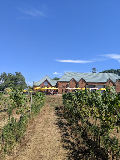 Vineyard «Duck Walk Vineyard», reviews and photos, 231 Montauk Hwy, Water Mill, NY 11976, USA