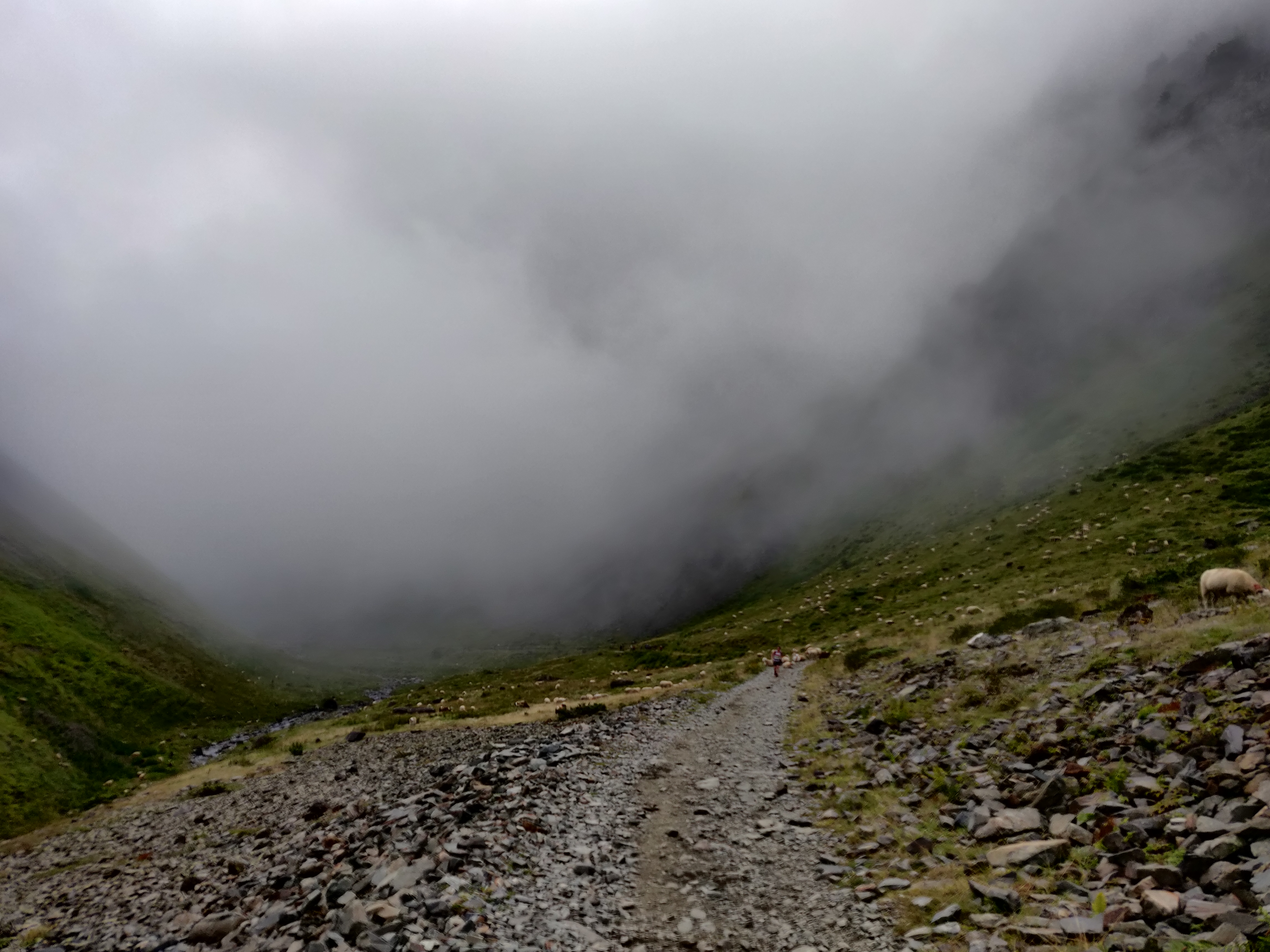 Photo n° 2 de l'avis de Nicolas.a fait le 17/08/2021 à 12:16