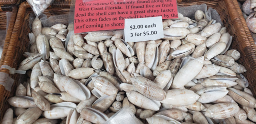 Gift Shop «Sanibel Seashell Industries», reviews and photos, 1544 Periwinkle Way, Sanibel, FL 33957, USA